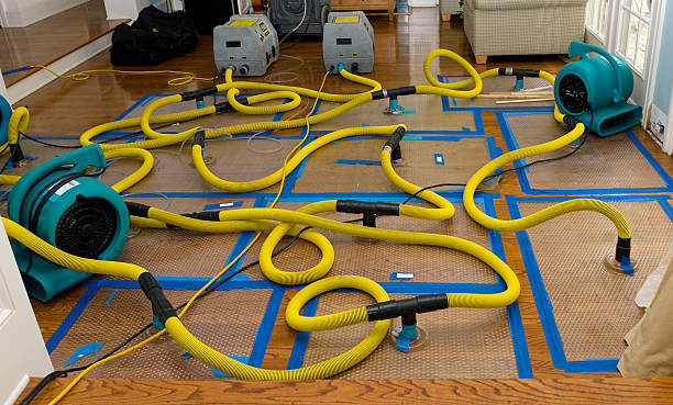 Professional Basement Flood Cleanup technician working in Tallulah Falls, GA